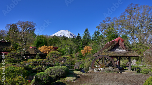 A japanese traditional garden with Mt. Fuji