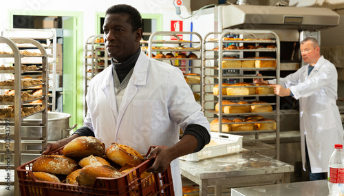 Skillful African American baker working in small bakery, carrying fresh baked bread in box ..