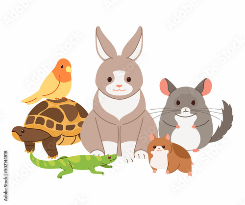 Cute little pets vector illustration. Rabbit, turtle, lizard, chinchilla, hamster, bird.