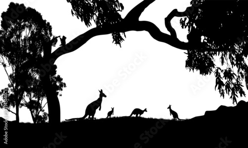 silhouette of kangaroos white background