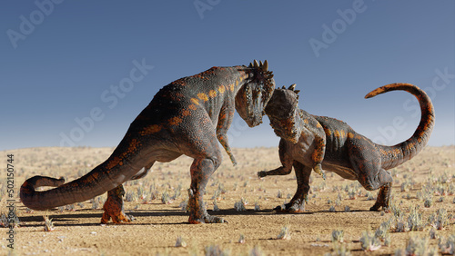Pachycephalosaurus, dinosaurs head-butting each other in a desert landscape © dottedyeti