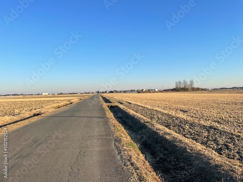 Japanese road in the field