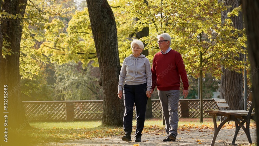 European senior pensioner couple walking outdoors in their favorite park in autumn. Leisure time activities. High quality photo European senior pensioner couple walking outdoors in their favorite park in autumn. Leisure time activities. High quality photo