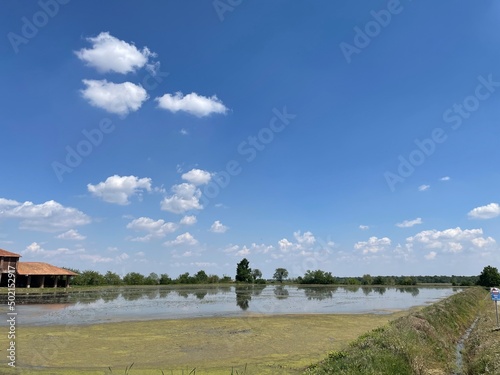 Fotografía Risaie allagate a vercelli in piemonte