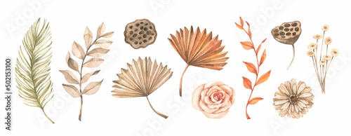 Vector watercolor illustrations - dry tropical leaves and gentle flowers and pampas. Botanical floral designs. Beige, green, orange palm leaves. Perfect for wedding invitations, packaging, cards