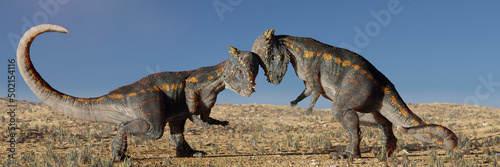 Pachycephalosaurus, dinosaurs head-butting each other in a savanna landscape © dottedyeti