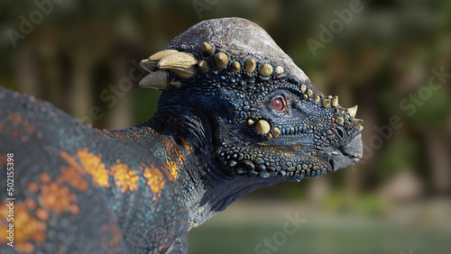 Pachycephalosaurus, dinosaur portrait, bipedal herbivore with a thick skull roof from the Late Cretaceous epoch, 3d paleoart render photo