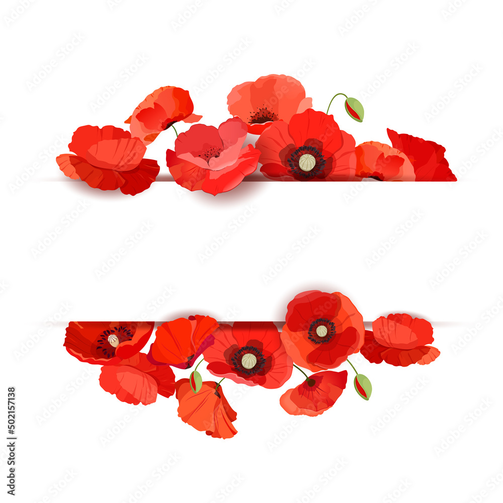 Set of banners with red poppies on a white background. Template design for greeting and invitation cards, sales, decorations. Vector illustration - obrazy, fototapety, plakaty 