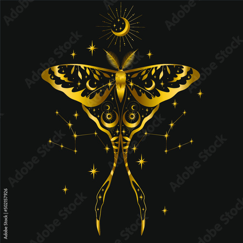 Magic moth and moon phase, gold figure on black background. Abstract mystic geometry. Vector illustration.