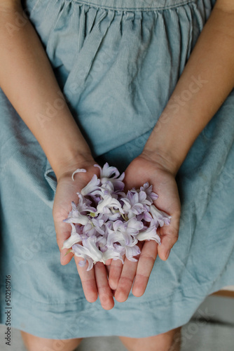 Girl's hands with violet flowers photo