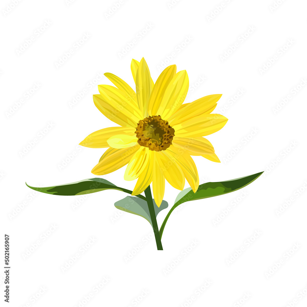 Naklejka premium Sunflower flower with stem and three leaves, icon
