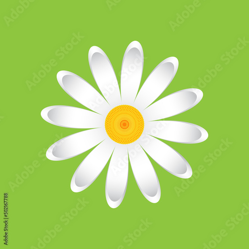 The chamomile flower. Single flower white daisies made of simple geometric shapes on a green background, icon