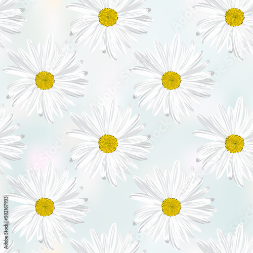 The chamomile flower. Seamless floral texture white of Daisy flower on abstract grey background,geometric pattern