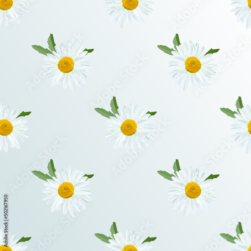 Daisy. Chamomile flowers with leaves, geometric pattern, raster floral texture.