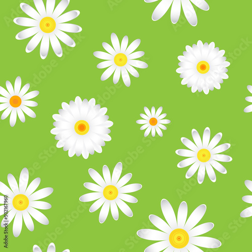 The chamomile flowers.  Floral pattern white Daisy flower on a green background, seamless texture 