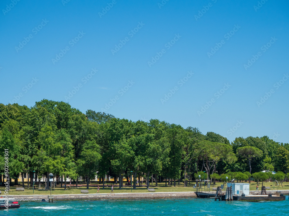Park  with tree in the grand canal in venice in italy.