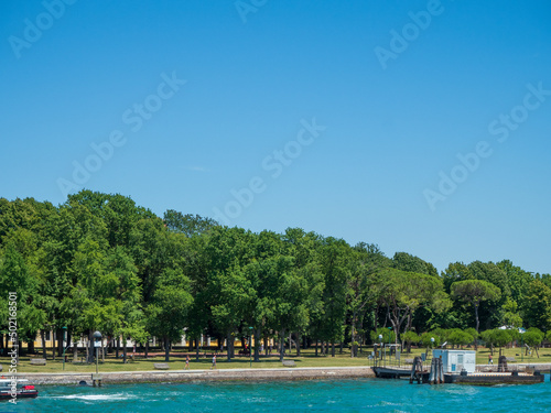 Park with tree in the grand canal in venice in italy.