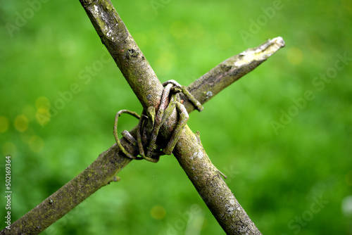 Croix en bois et lien végétal