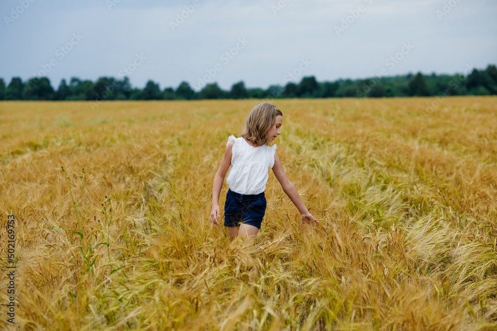 Portrait of a girl in a wheat field. She walks and strokes the ears with her hands. Summer rural landscape.