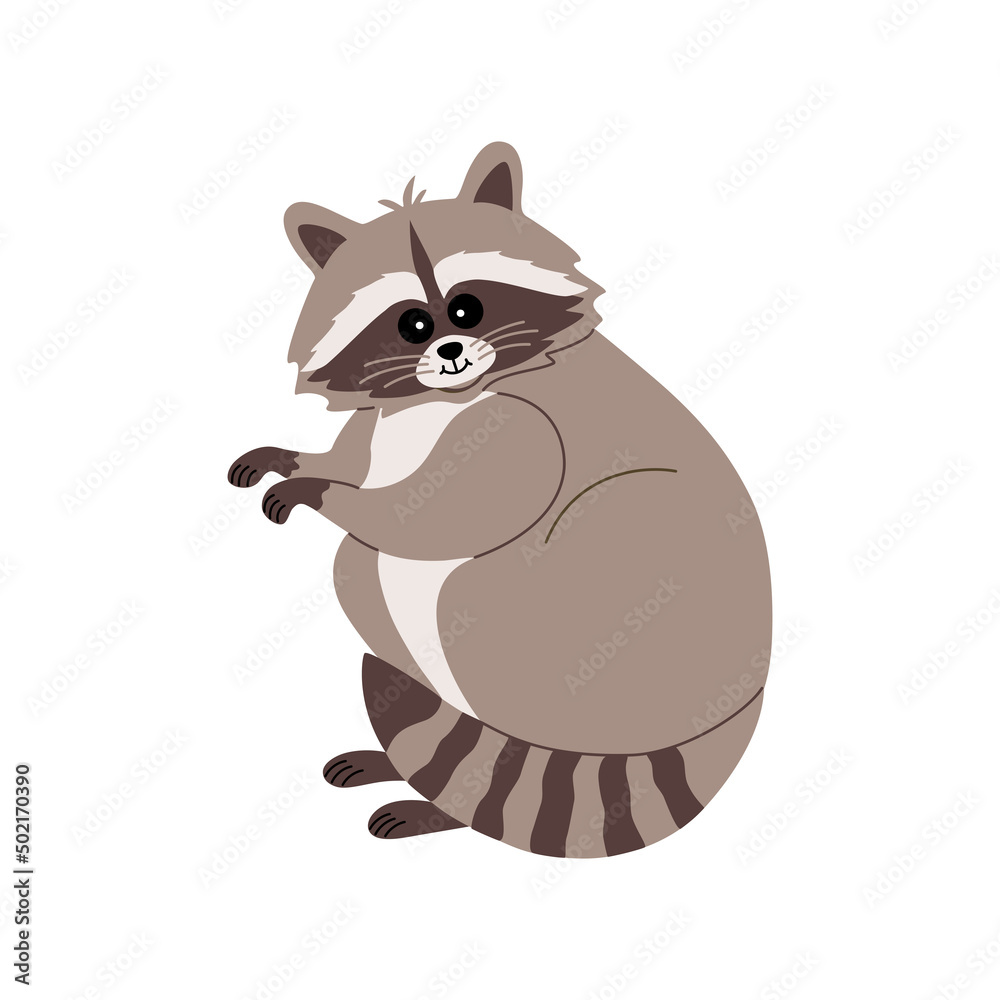 Cute funny raccoon standing on the hind legs. Adorable fluffy animal. Hand drawn color vector illustration isolated on white background. Modern flat cartoon style.