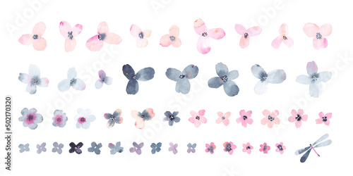 Watercolor set with abstract flowers. Wildflowers. Floral collection isolated on white background.