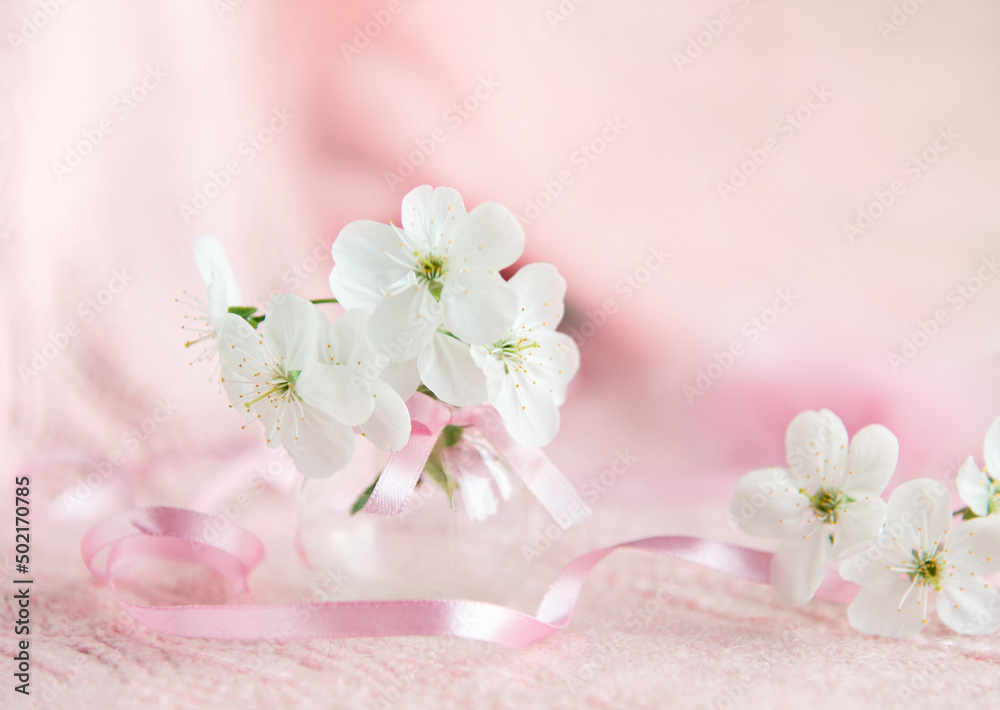 cherry blossoms in a small glass vase on a delicate pink knitted background cherry blossoms in a small glass vase on a delicate pink knitted background
