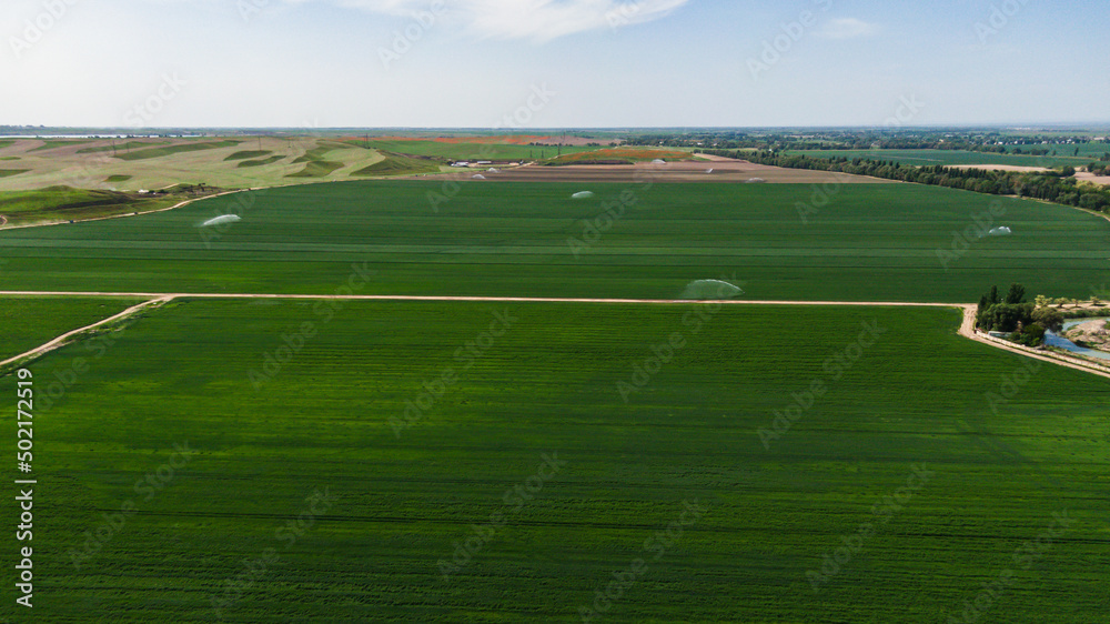 Aerial view of Guns Sprinkler Irrigation System Watering Wheat Field