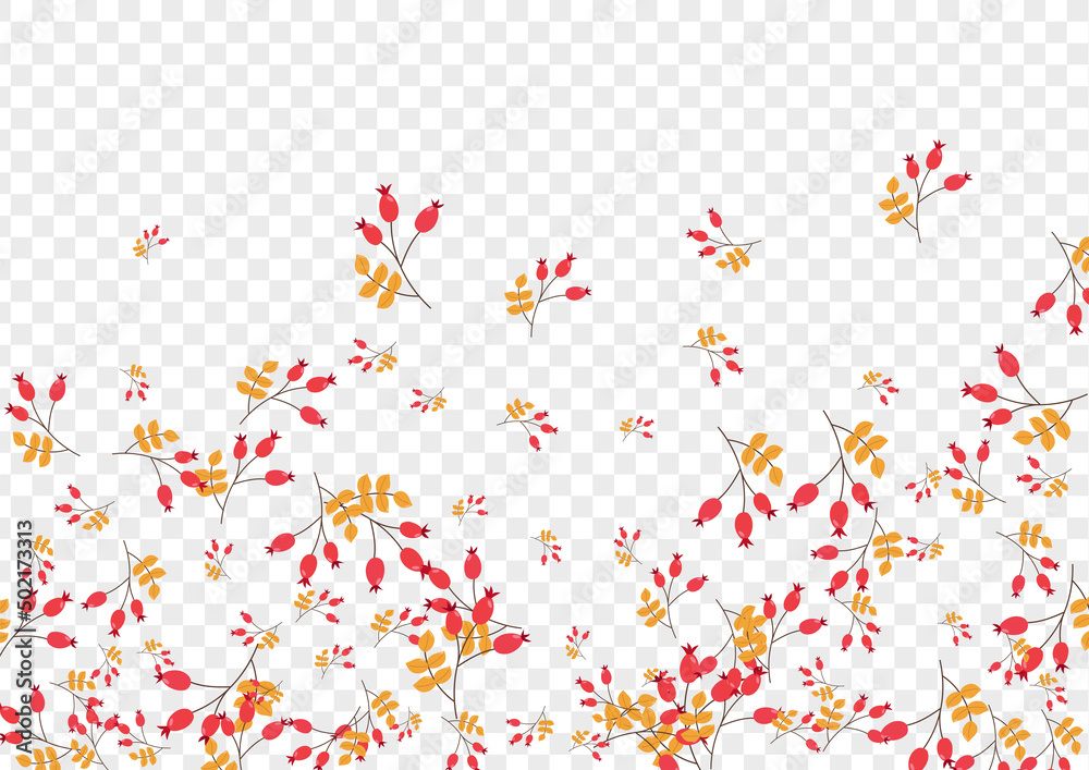 Red Herb Background Transparent Vector. Leaves Landscape Texture. Yellow Berries Drawn. Decoration Illustration. Foliage Fly.