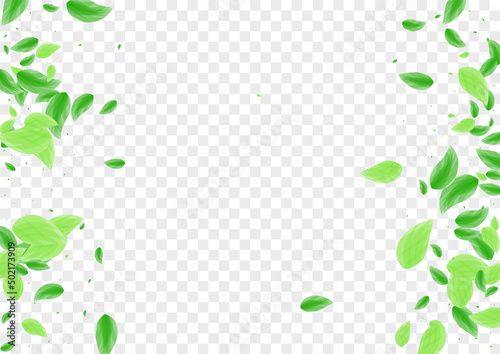 Green Leaf Background Transparent Vector. Leaves Process Design. Summer Texture. Greenish Line Illustration. Plant Style.
