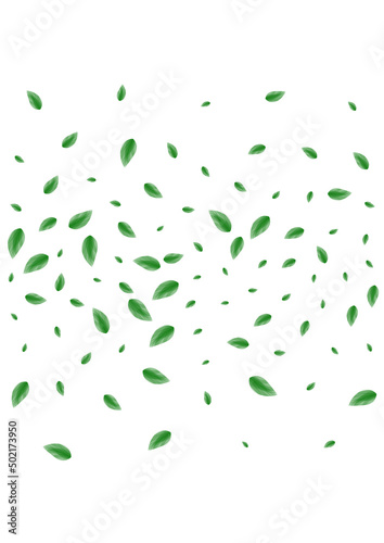 Greenish Leaves Background White Vector. Sheet Modern Texture. Botanical Card. Green Delicate Design. Vegetation Abstract.