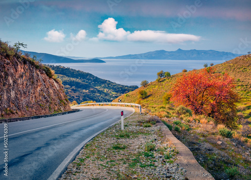 Splendid autumn scene of Adriatic shore with empty asphalt road and red tree on the side. Captivating morning landscape of Albania, Europe. Traveling concept background.