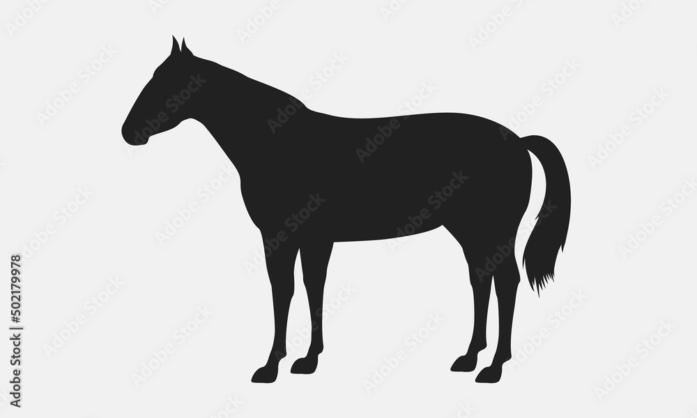 Vector Horse silhouette. Horse silhouette icon isolated on white background.