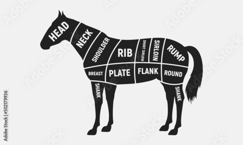 Butcher diagram, scheme set. Cuts of Horse. Horse silhouette isolated on white background. Vintage Poster for butcher shop. Vector illustration