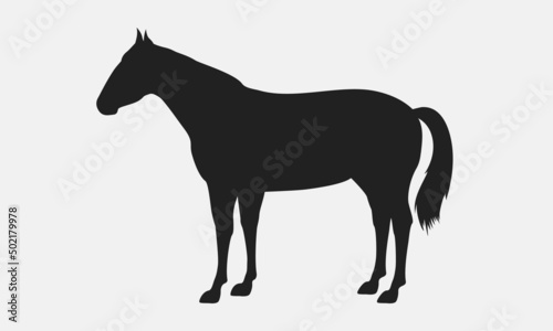 Vector Horse silhouette. Horse silhouette icon isolated on white background.