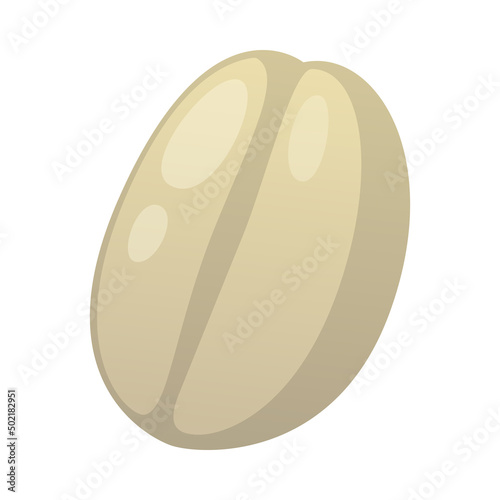 Coffee Bean Illustration