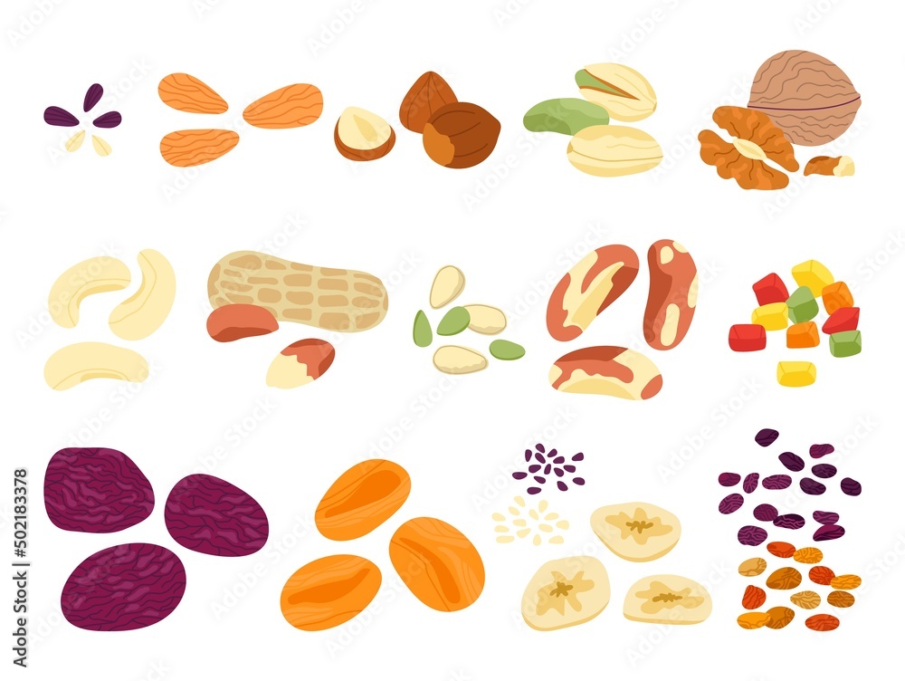 Dried fruits nuts and seed. Crunchy snack mix, various natural food, nuts and sunflower seeds. Different chips, almond, pistachio, cereal decent vector set Dried fruits nuts and seed. Crunchy snack mix, various natural food, nuts and sunflower seeds. Different chips, almond, pistachio, cereal decent vector set