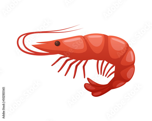 Shrimp Cartoon Illustration