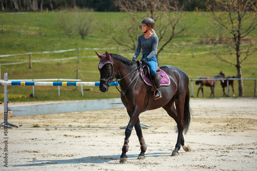 Horse with mounted young rider go stepping across the riding arena, in the background out of focus foals on the pasture.. Horse with mounted young rider go stepping across the riding arena, in the background out of focus foals on the pasture..