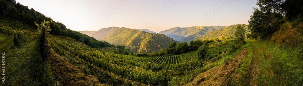 Conques, son vignoble, son château, la Chapelle Saint-Roch, Aveyron, Occitanie, France
