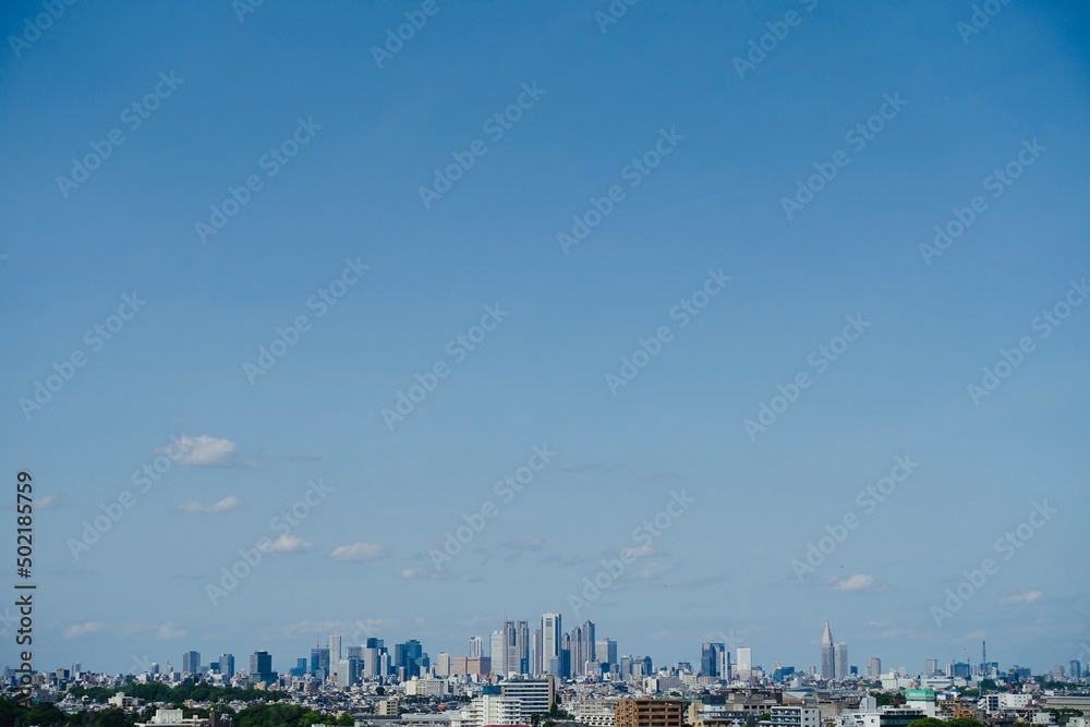 Fototapeta premium 新宿高層ビル群の全景、遠景