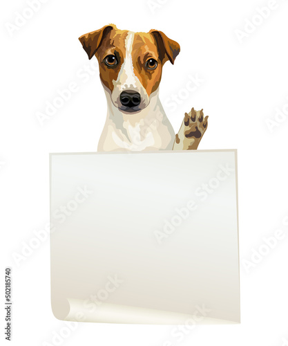 Empty banner with jack russell terrier dog vector illustration