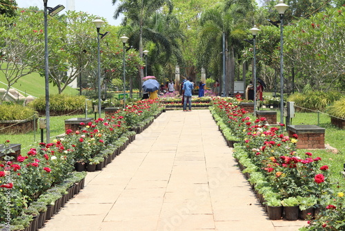 garden in the park with flowers