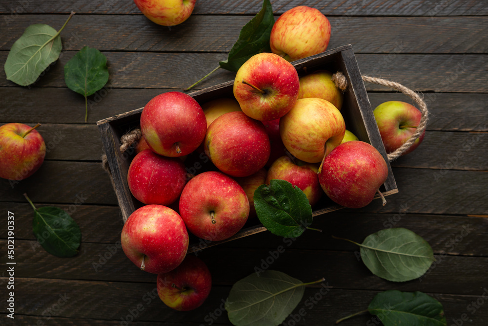 Fresh harvest of apples in a wooden box food dark background top