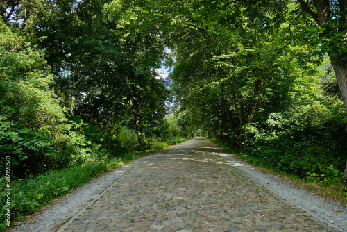 Alleestraße, Mecklenburg-Vorpommern, Deutschland photo