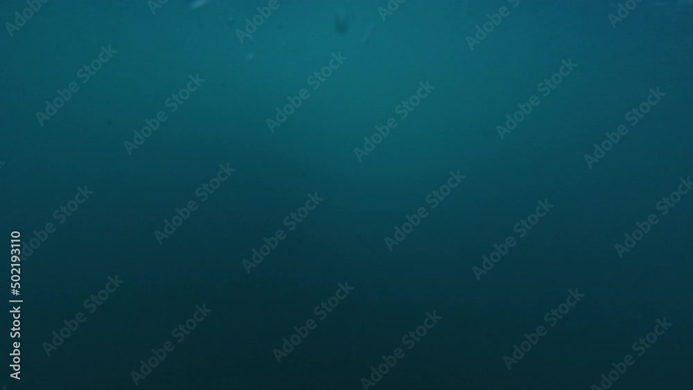 Ocean wave breaks. Murky water surfing in Brazil Ocean wave breaks. Murky water surfing in Brazil