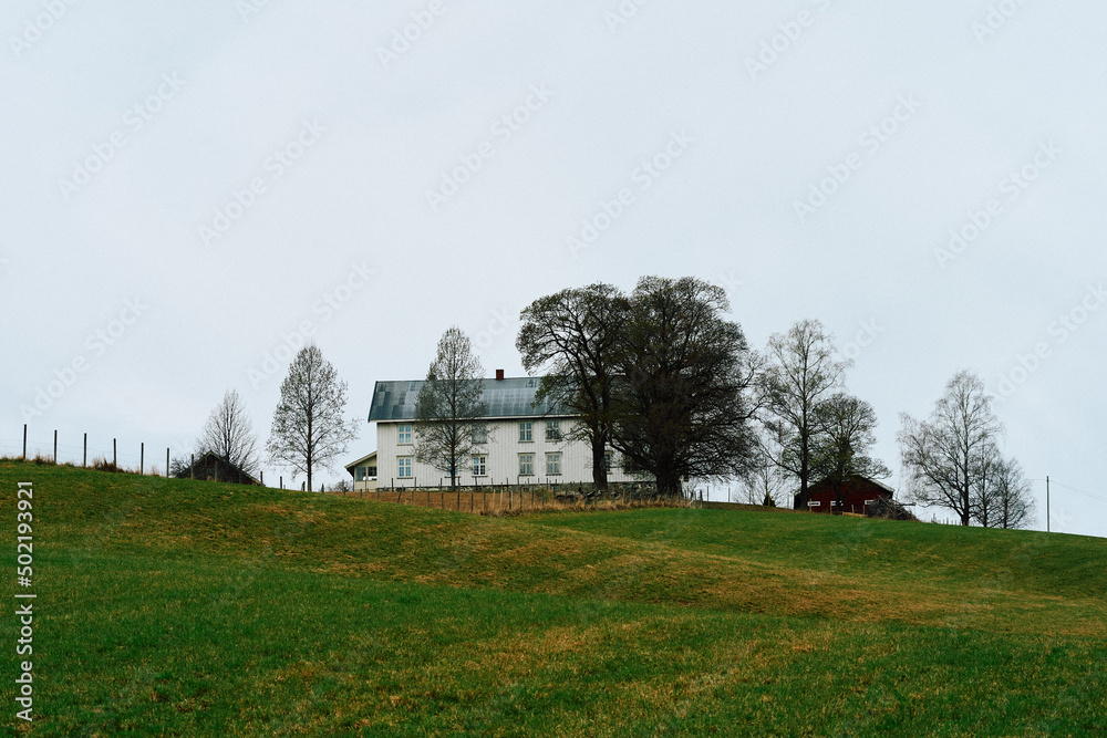 Fototapeta premium old farmhouse in the countryside by spring