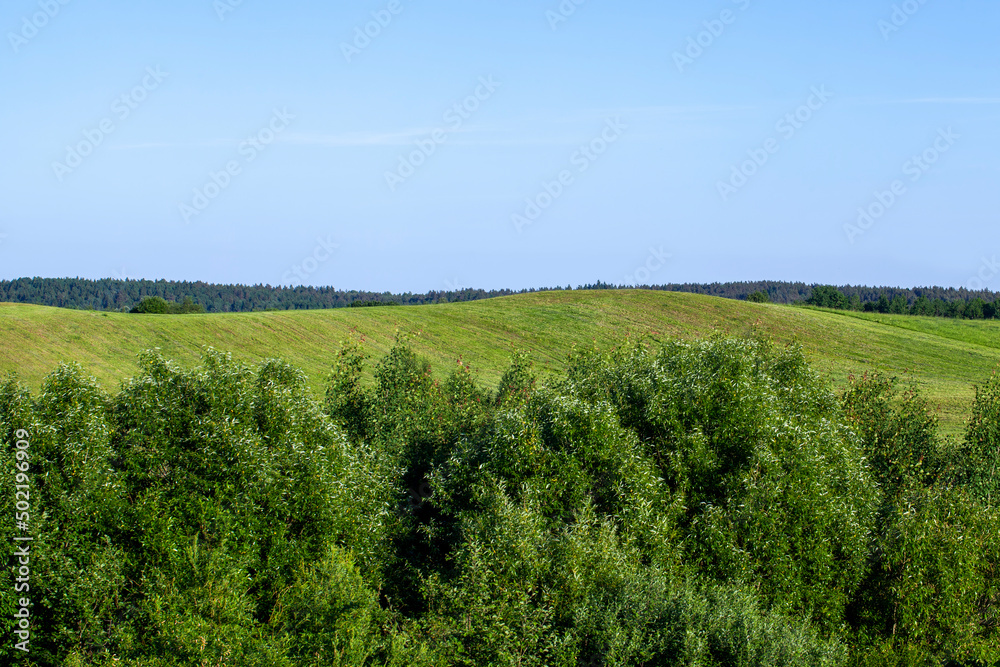 landscape with hilly territory with plants
