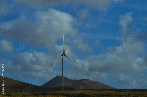 Windmill Fuerteventura