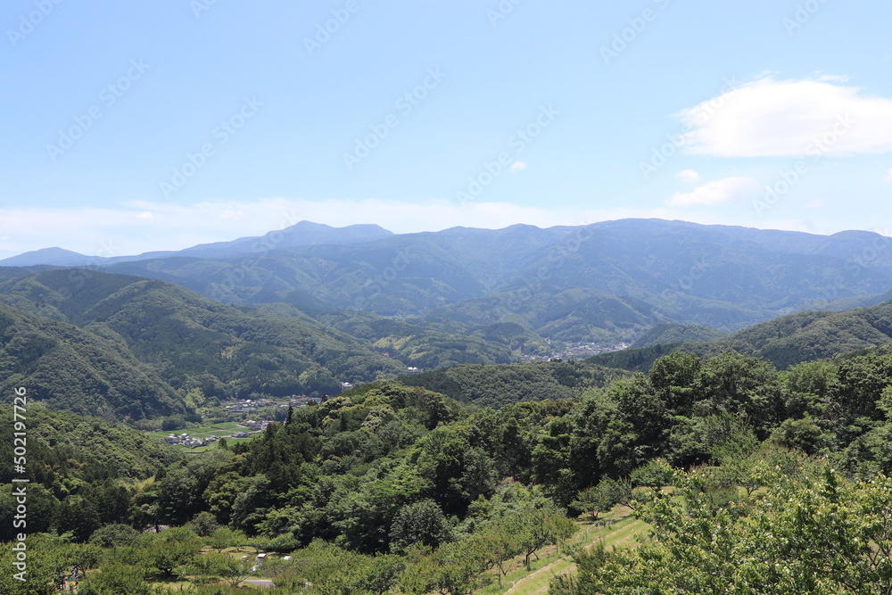 伊豆の風景