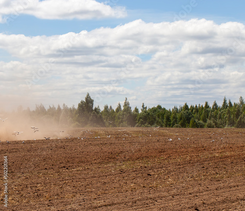 part of the territory of an agricultural field with fertile soil